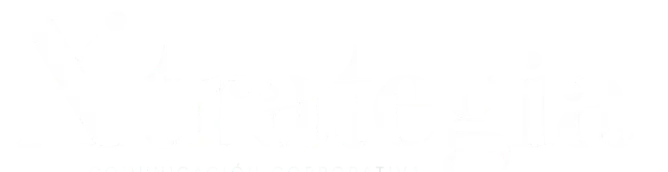 logo-xtrategia